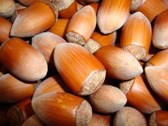 ������� ������� �� ������� � ������ ������ ������ �� ��������� �����