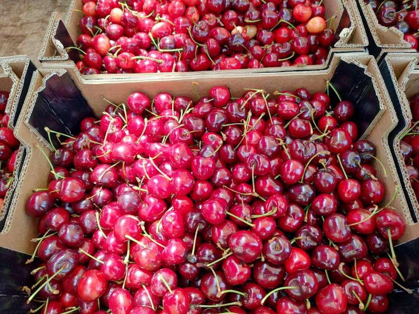 �� ������ ��������� �� ������ �� ��������������� �������� �� �������