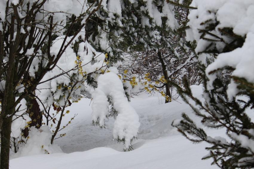 �� � ������, ����� � ���������� 2026 ������!