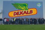   :         DEKALB  