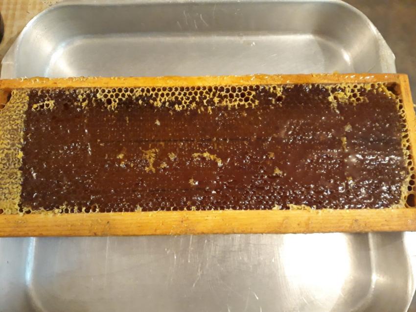 ������������ ��������� � ������������ ������ ��������� � ������� �������� ��������