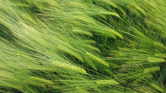 ��������� ���� �� ������� ��������� ����� �� ����������