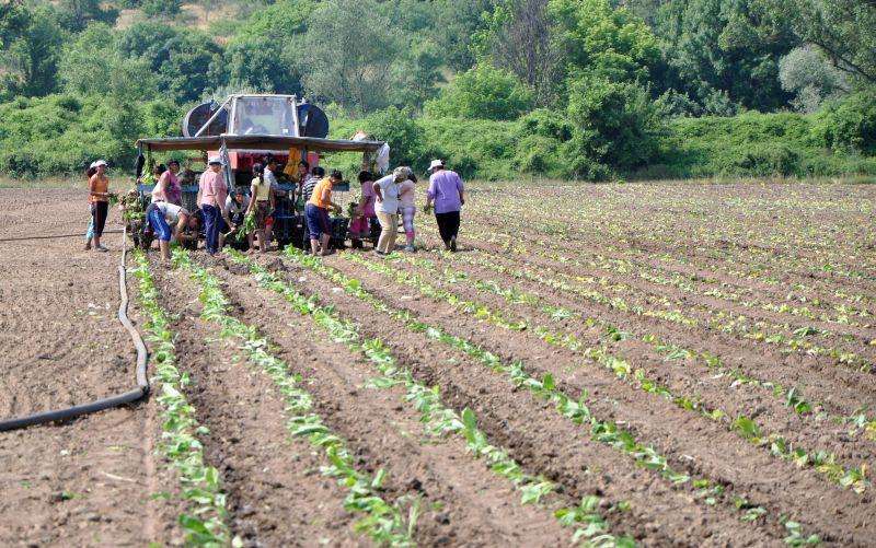 ���� ��������� �� �� �� �������� ��������� � ��� ���� 2026 �.