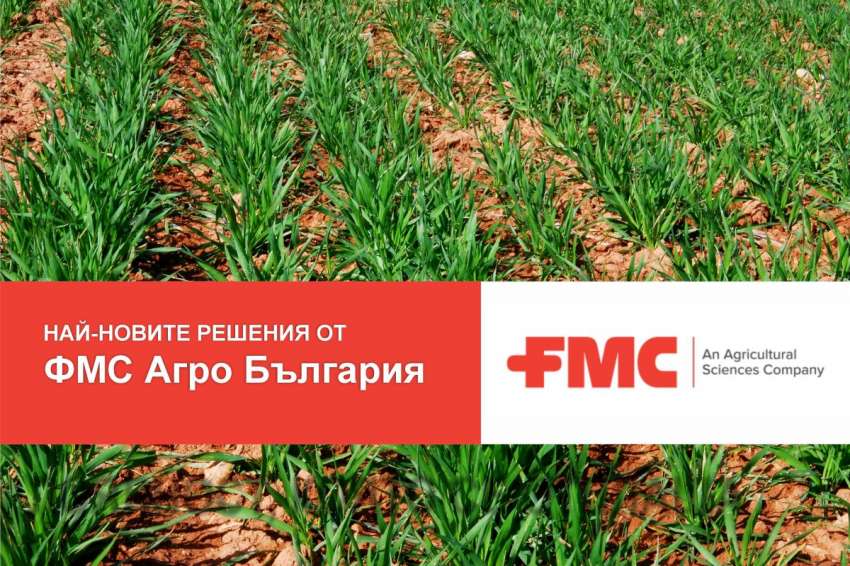 ��� ���� �������� ��������� ���� ���������� ������� �� �������