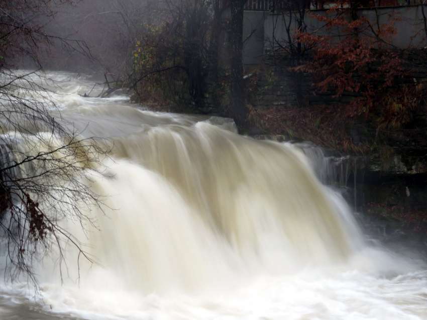 ��������� � ����������� �� ������ �� ����������� � ���������� � �������