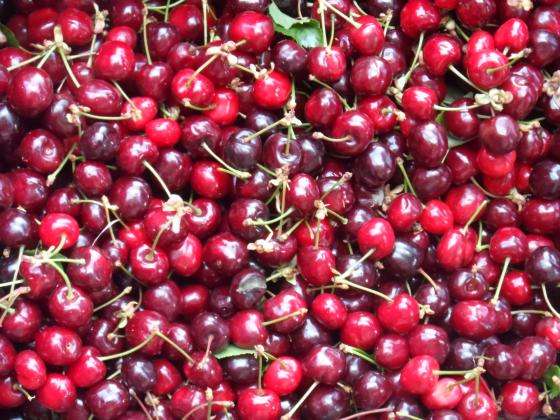 ���������� � ������������ ������ �� ��� ������� ��� ���������� � ����������!