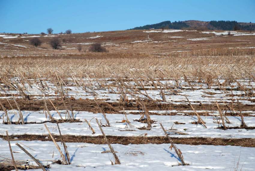 �������� �������� �� ������� ������ �� ���-������������ � ���������� �� �������� 