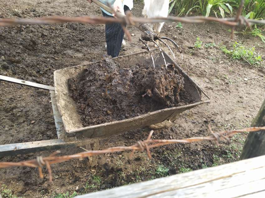 ���� ��������� ��� ���� �� ���� ������ �� ���������?