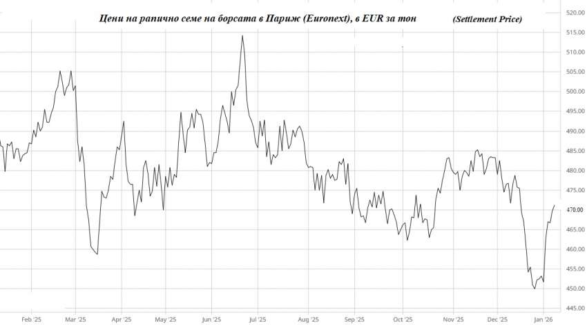 ����� �����, ������� ����