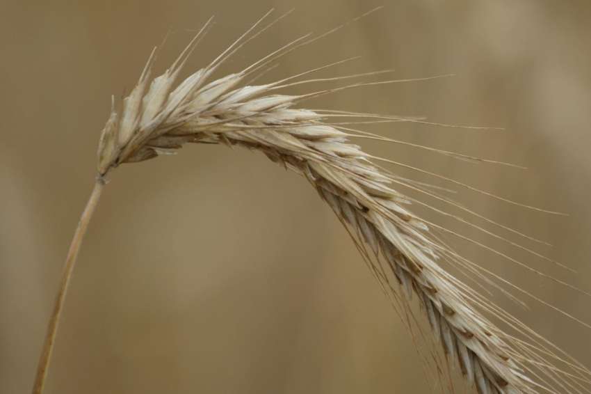 ���: ������� ��������, ������������ ����� ����������� � ����� �������� ���� �� ���������