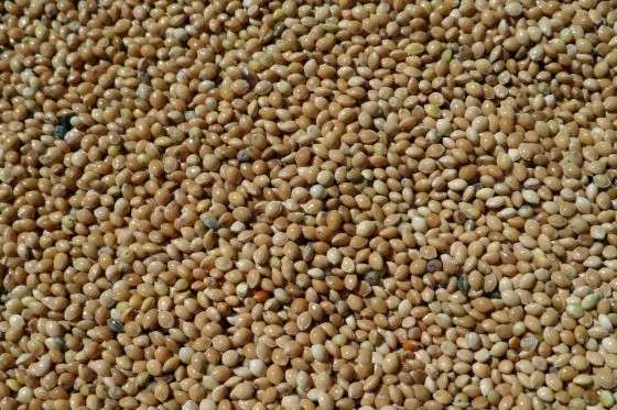 ���� ����� ������ �� ������������ ���� 120 000 ���� ���� ���� 