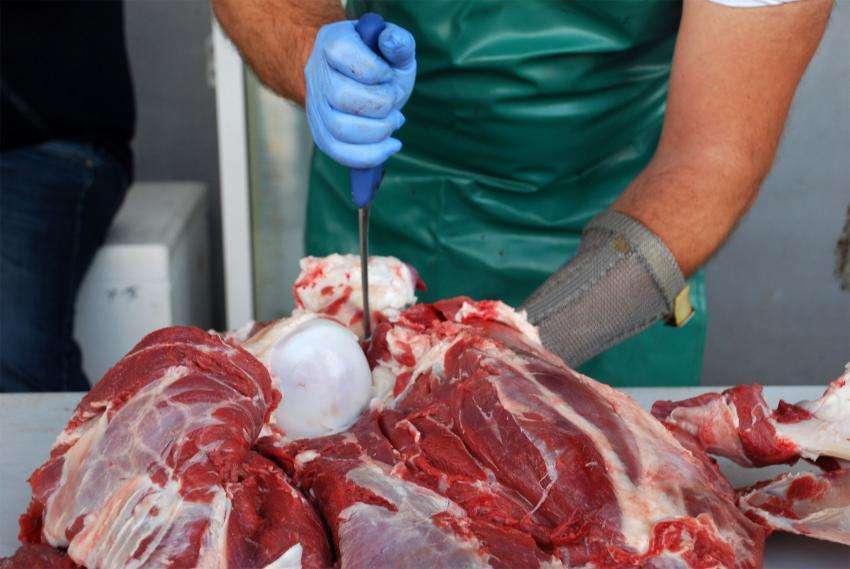 �������������� �� ����� � ������� ���� � �������� � ����� ���������