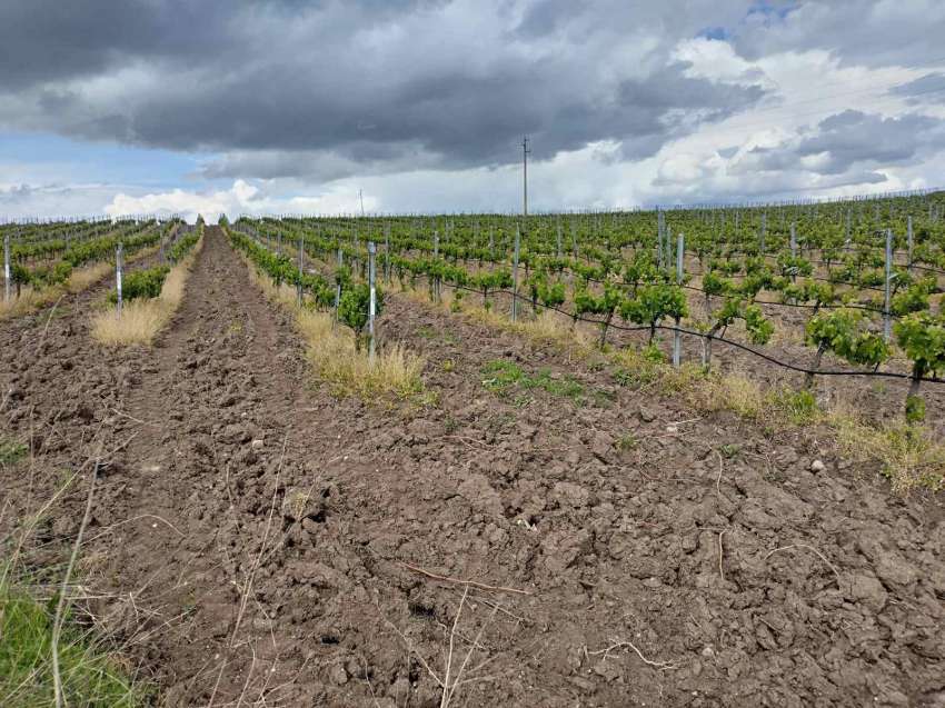 �� 15 ������ �������� ����� �� ��� ������-�������� �����������