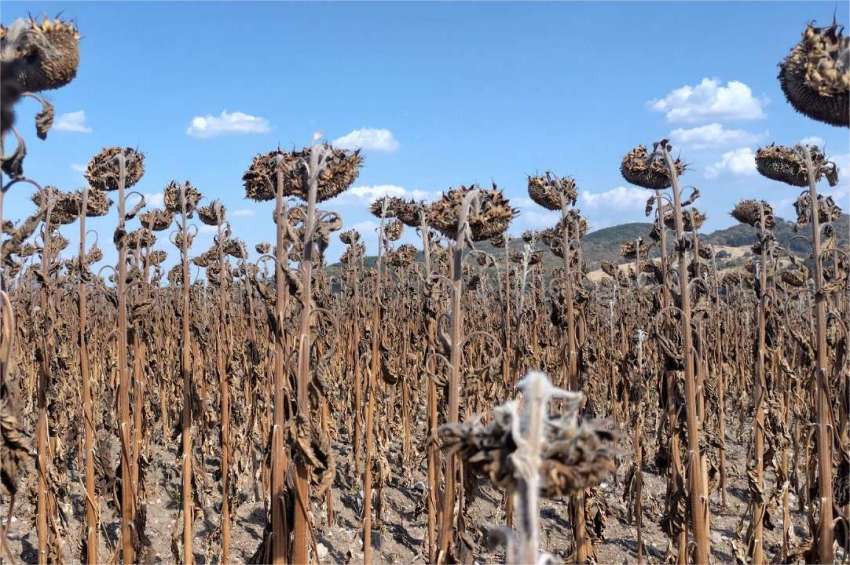 ������ �� ����������� � ��������������� ����� � ������� ������ ������