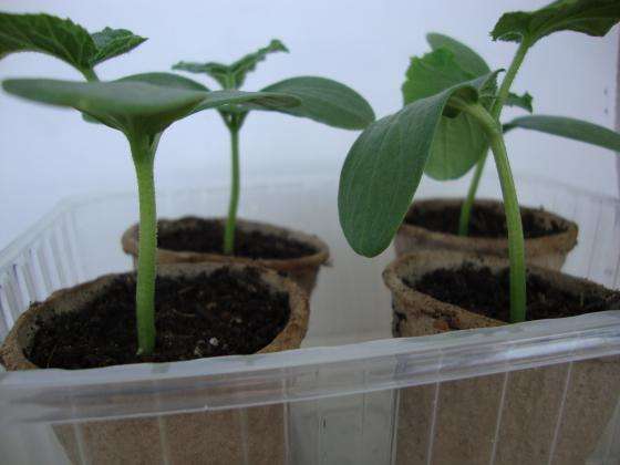 ����� ����� � ���������� �� ������� 