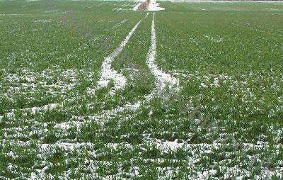 ������� ��� ������ �������� �� �������� ����� �� ���� ��� ����� �������� �������� 