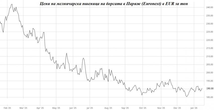 ���� �������