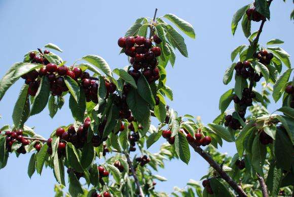 ���������� �� ��������� � ��������� �� ������� ��������� ������� 