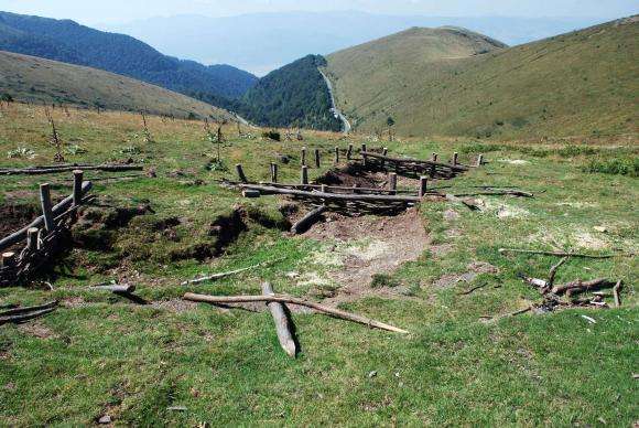 ������� �������� ����������� ���� � ����������� � �������������