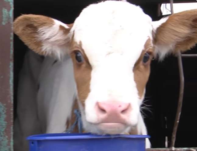 ������� �� ������� �� �������� �� ������ �� ���� �������� � ����������