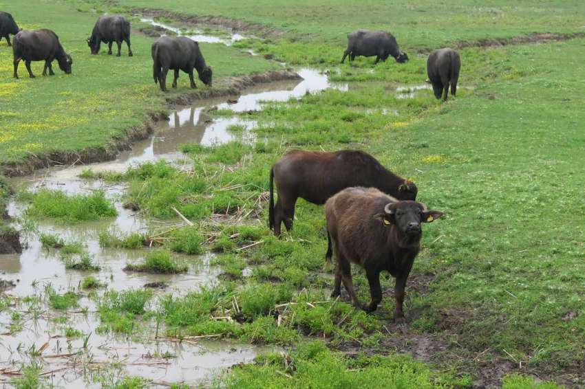 ������� �� ���������� �� ������� �������� ������ � ������ ��� ���������