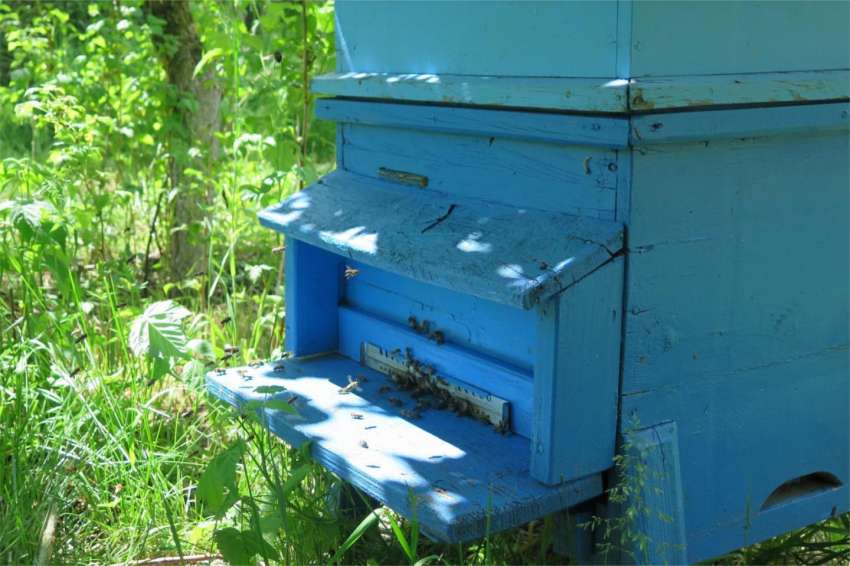 ����� ������ �� ���������: ������ ���� � ��-���� ������� �� ������� 8