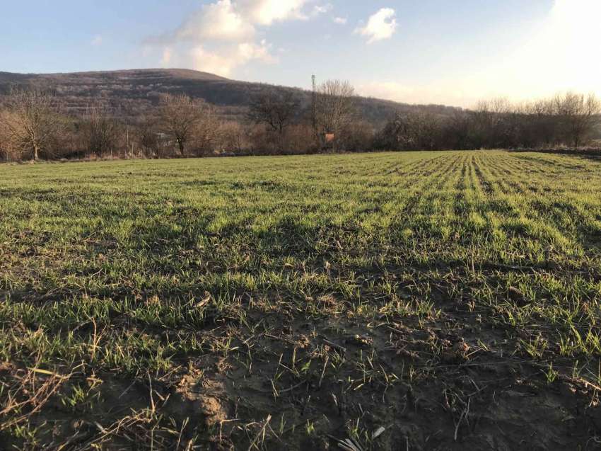 ������ ������� � ������� � ������� �������� �� ����� � ������ ������