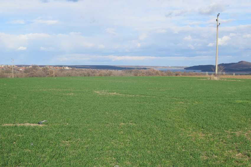 ���������� � �������� ���������� �� ������� � ����� ������� ����������� 