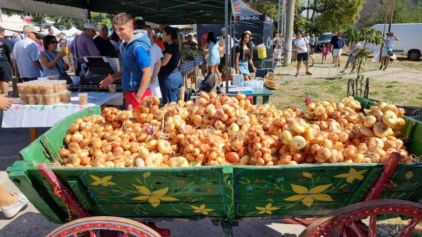 ЕК започва нови преговори по екшън плана за биоземеделието в ЕС през 2026 г.