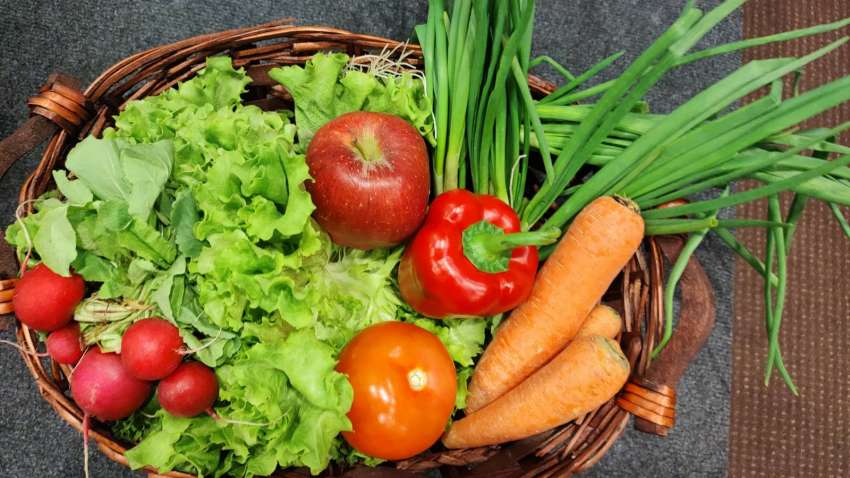 ���������� � ������ �� ���� � ������� �������� ������ ���� ���� 2025 �.