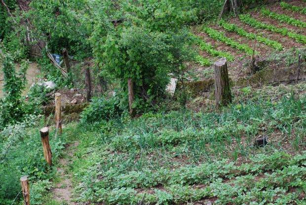 �������� ����������� ������� � ����� � ����� 