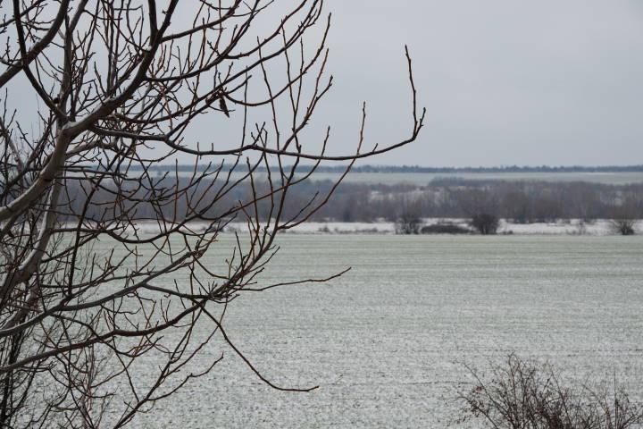 ������ ���: ������������ ��������� �������� �� ������� ������������� ��� �������