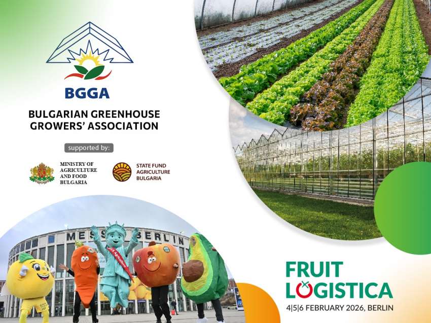 ����� �� ������� � ����������� ���� ��������� � ������