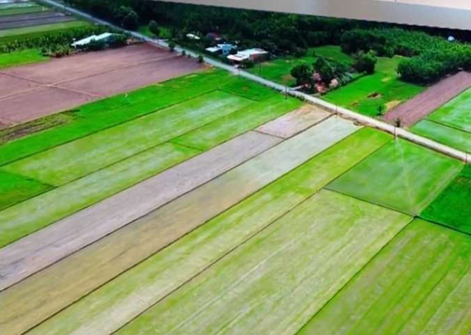 �������������� ��-����� �� ������ ������ �� ���������� ����������