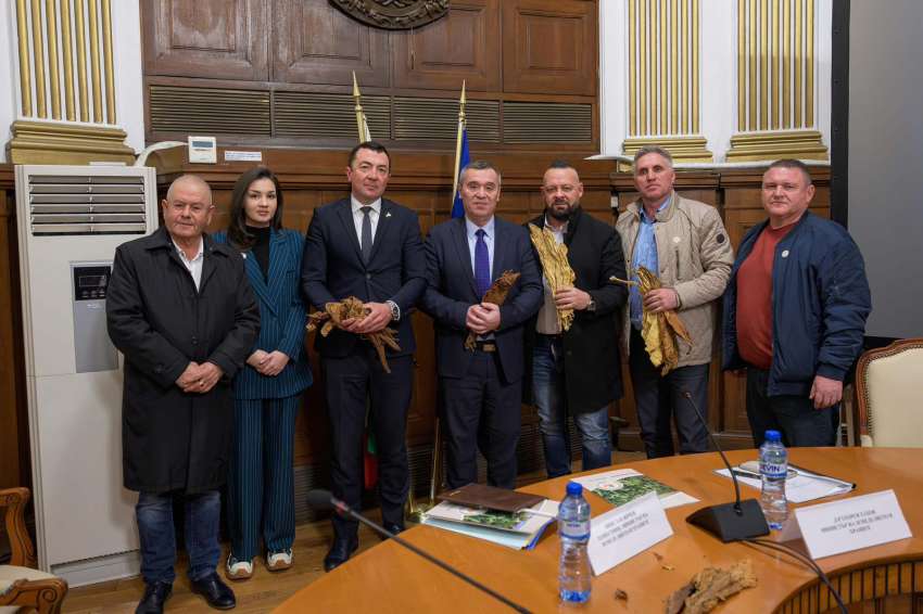 ���� �� �������� �� ������ �� ���������� ���������� ����� �� �������� 2025 �.