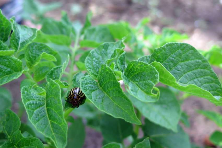 ���������� ������ �� ��������� �� ����������� ������� ��� �����