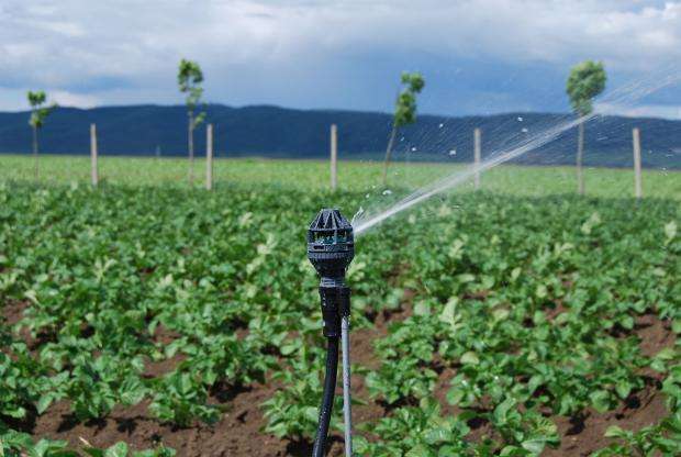 ����������� ���������� ����� � ������ �� �������� � ��� 2 �� ��� 