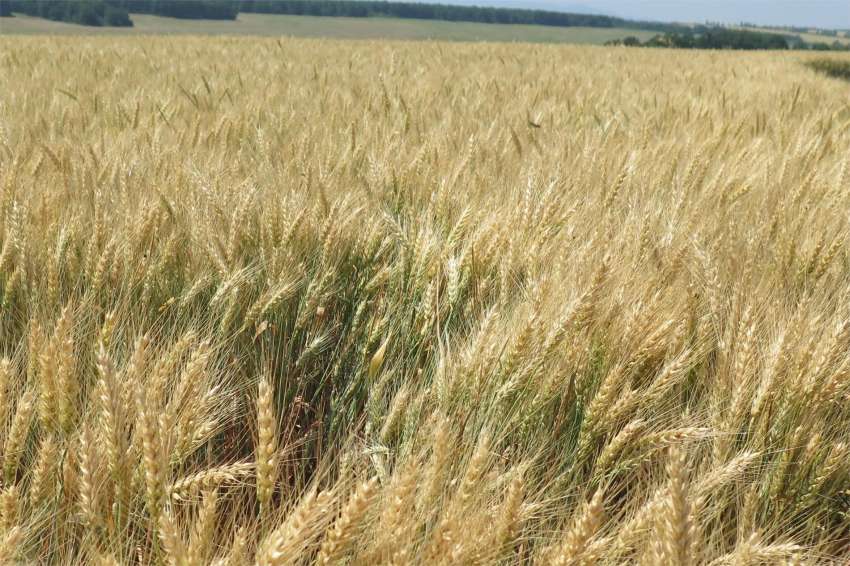 ������ �� ������� ������� �������� ������