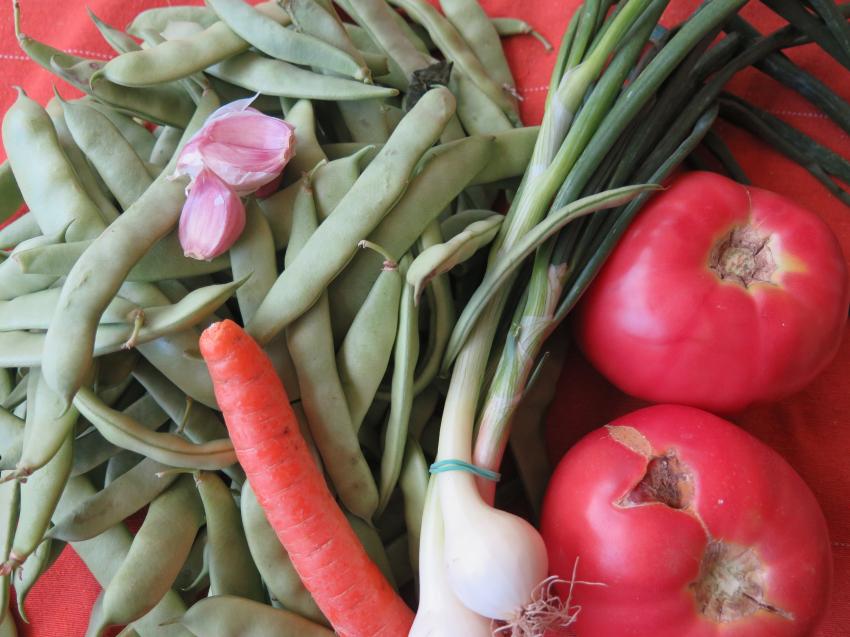 ����� ������ �� �������������: ������� � ��������� ����� ��������� �����������