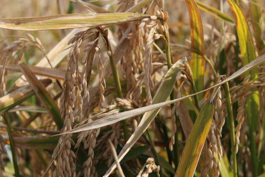 �������������� �� ���� � �� � ��� ������ �� ����� ����