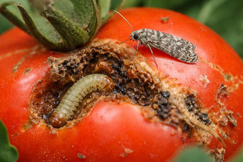 ���� �������������: ��� ������� �������� ���� �� �� �������� � ����� ����� ��