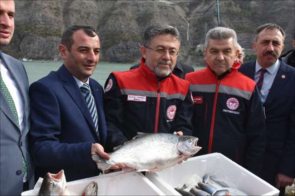 ������ � �������� ����� �� ������ ������, 500 ���. ����� �� ���������� �� ������ 