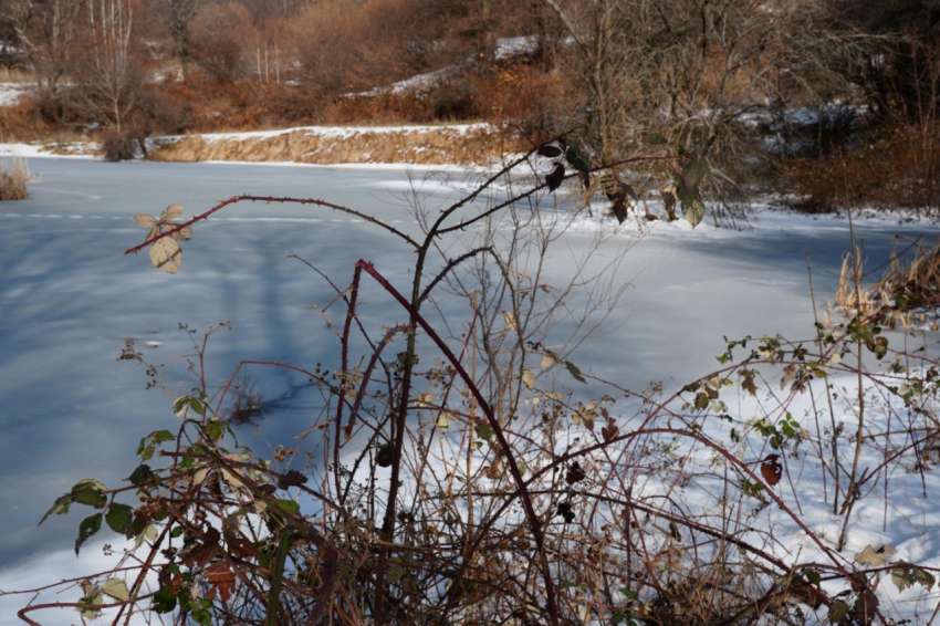 Януари 2026 – месец на климатичните крайности и бедствия по света