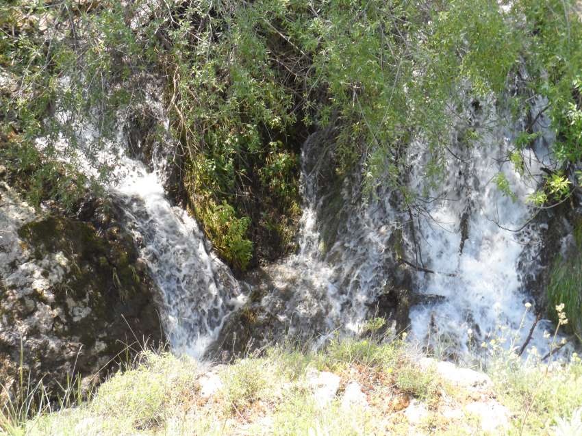 ����� �� �������� ���� �� ��������� �� 1 �������� � ������������� �����