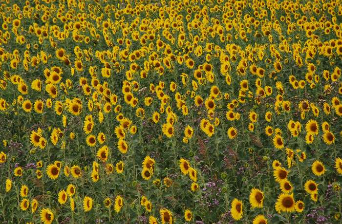 ������� �� ������������ ���� �� ������� ����� ������� ����� �� ���������� �� �����