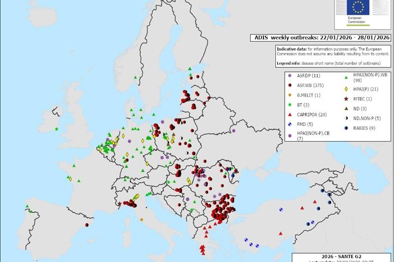 ���� �����