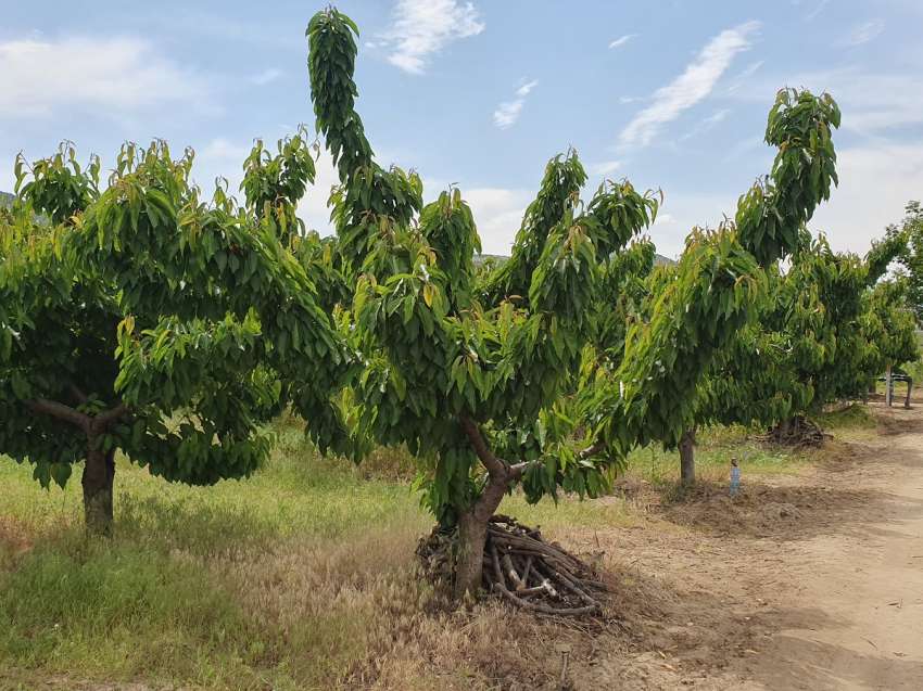 ��-������ ����������� �� ���������� ���������� � ���� ������ �� ���