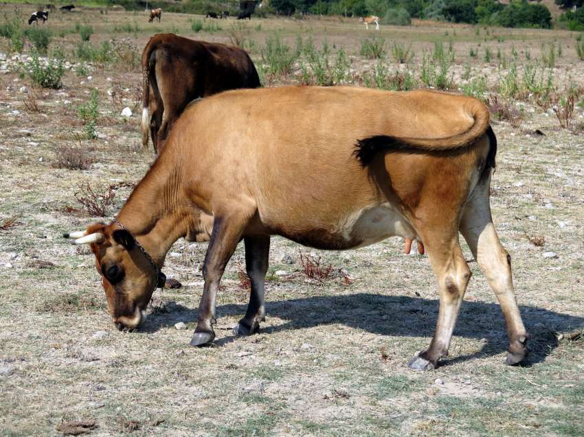 ������� ������� �������� ������������� ��� ��������� ��� 7% �� ��� ������