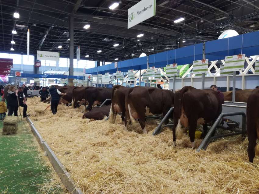 ��������� �� �������� ���������� ���������� ������ �� ��� �������� �� ��