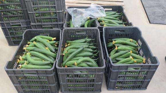 ������� ��� 14 ���� ������ � ����������, ������ ����� ��������� � ������ 